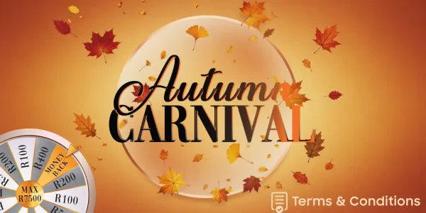 Terms And Conditions