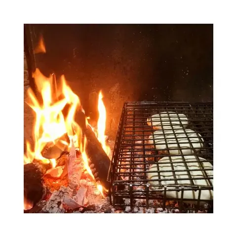 LK's Galjoen Grid 109/6 Grilling