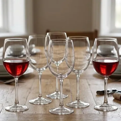 Funkilines Palomino 445ml 6 Piece Wine Glasses 24107 Display