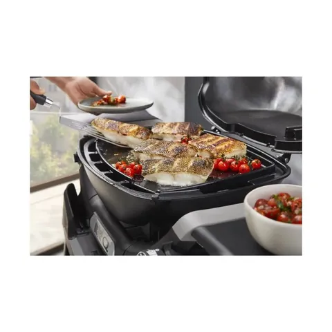 Weber Cast Iron Q1100N/Q1200N Full Griddle 3400866 Grilling