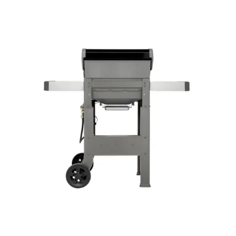 Weber Spirit II E-210 Gas Braai back
