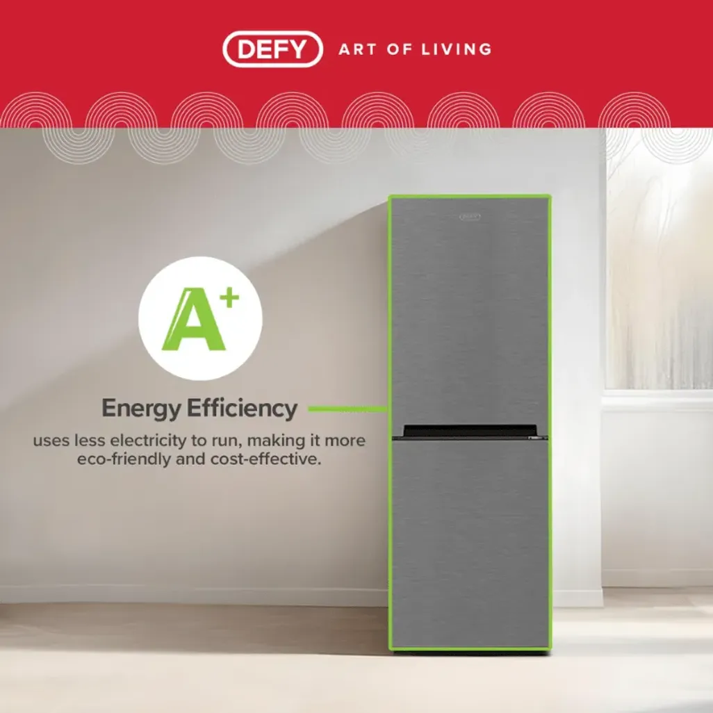 Defy 247L Metallic Bottom Freezer DAC447 | Tafelberg Furnishers