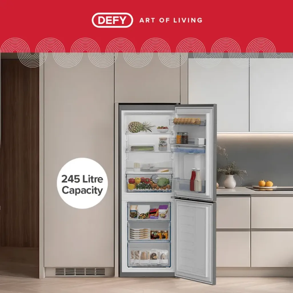 Defy 245L Metallic Bottom Freezer DAC449 | Tafelberg Furnishers