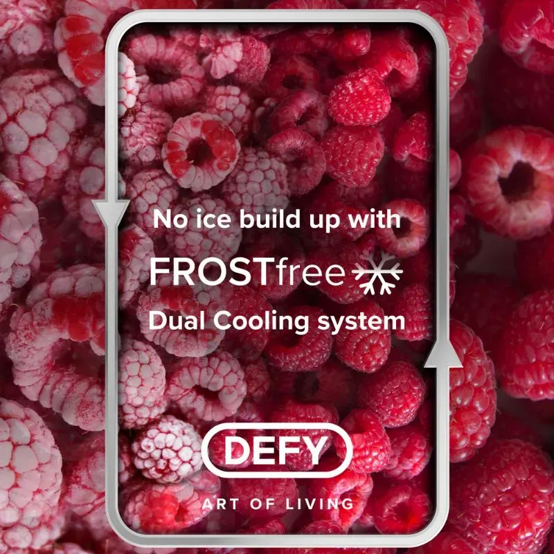 Defy 302L Frost Free Bottom Freezer DAC639 | Tafelberg Furnishers