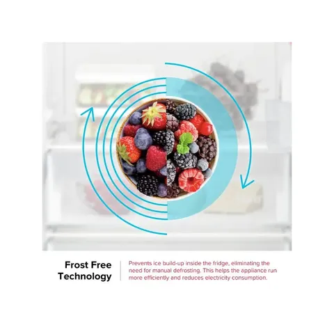 Defy 343L Titanium Inox Upright Fridge DFD458 FrostFree