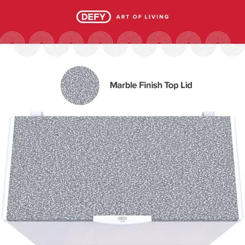 Defy 481L Chest Freezer DMF456 - Lid