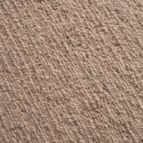 Nouwens Kirman Behari Rug