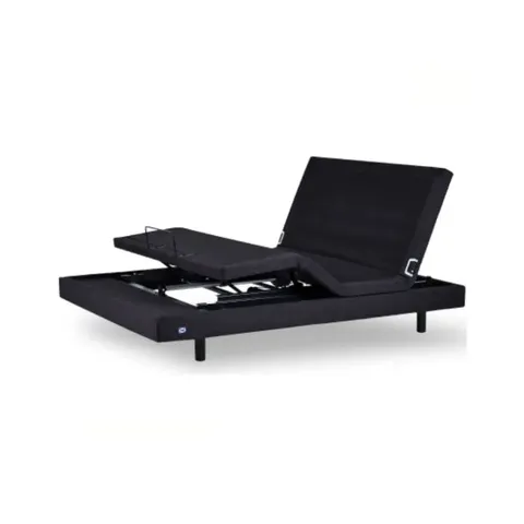 Sealy Odessa Queen Motion base Extra Length