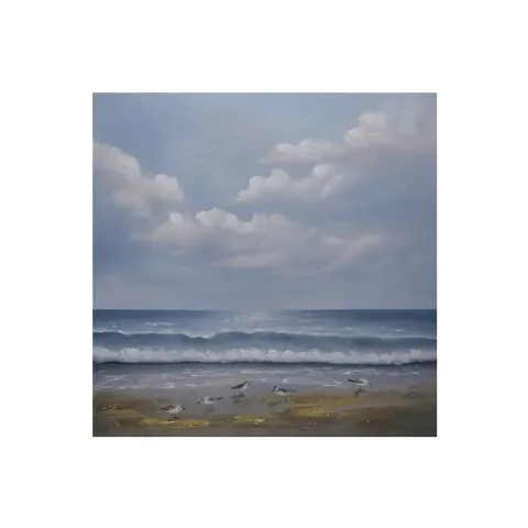 Hii Birds On The Beach Canvas Oil Painting ZHP8758